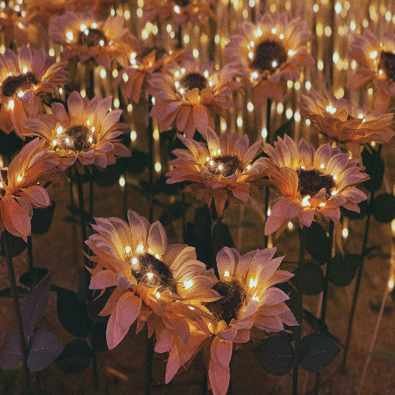 Tournesol Lumineux Genevah™