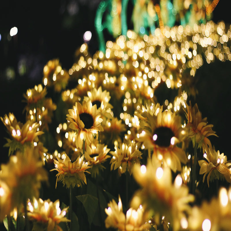 Tournesol Lumineux Genevah™