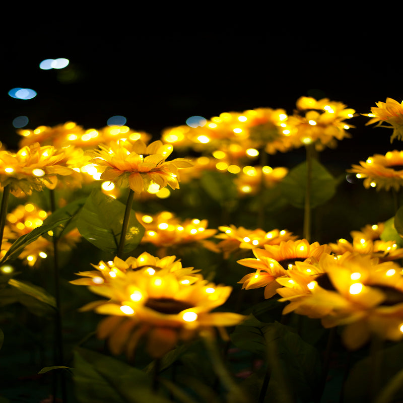 Tournesol Lumineux Genevah™