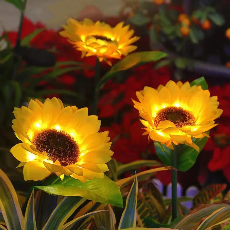 GENEVAH™ Tournesol Lumineux