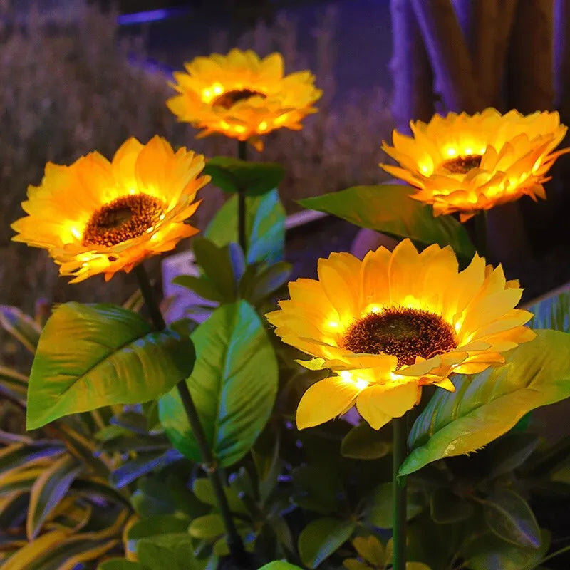 GENEVAH™ Tournesol Lumineux