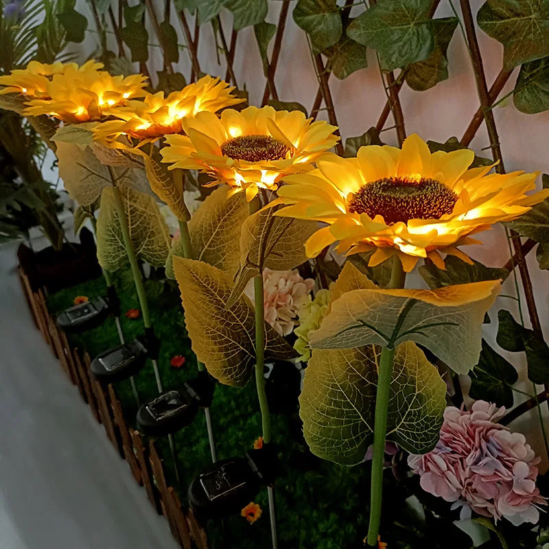 GENEVAH™ Tournesol Lumineux